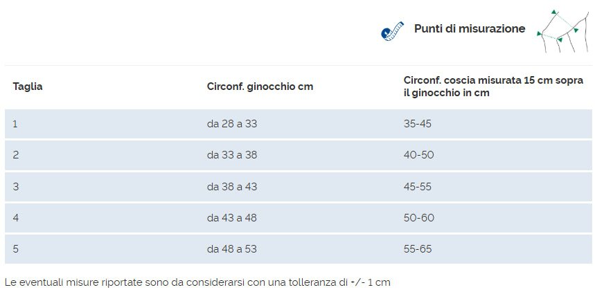 Artigib 3D Ginocchiera legamenti 0519 Dr Gibaud