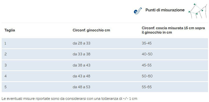 Artigib 3D Ginocchiera legamenti 0519 Dr Gibaud
