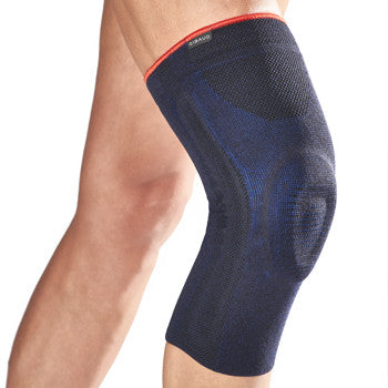 Artigib 3D Ginocchiera legamenti 0519 Dr Gibaud